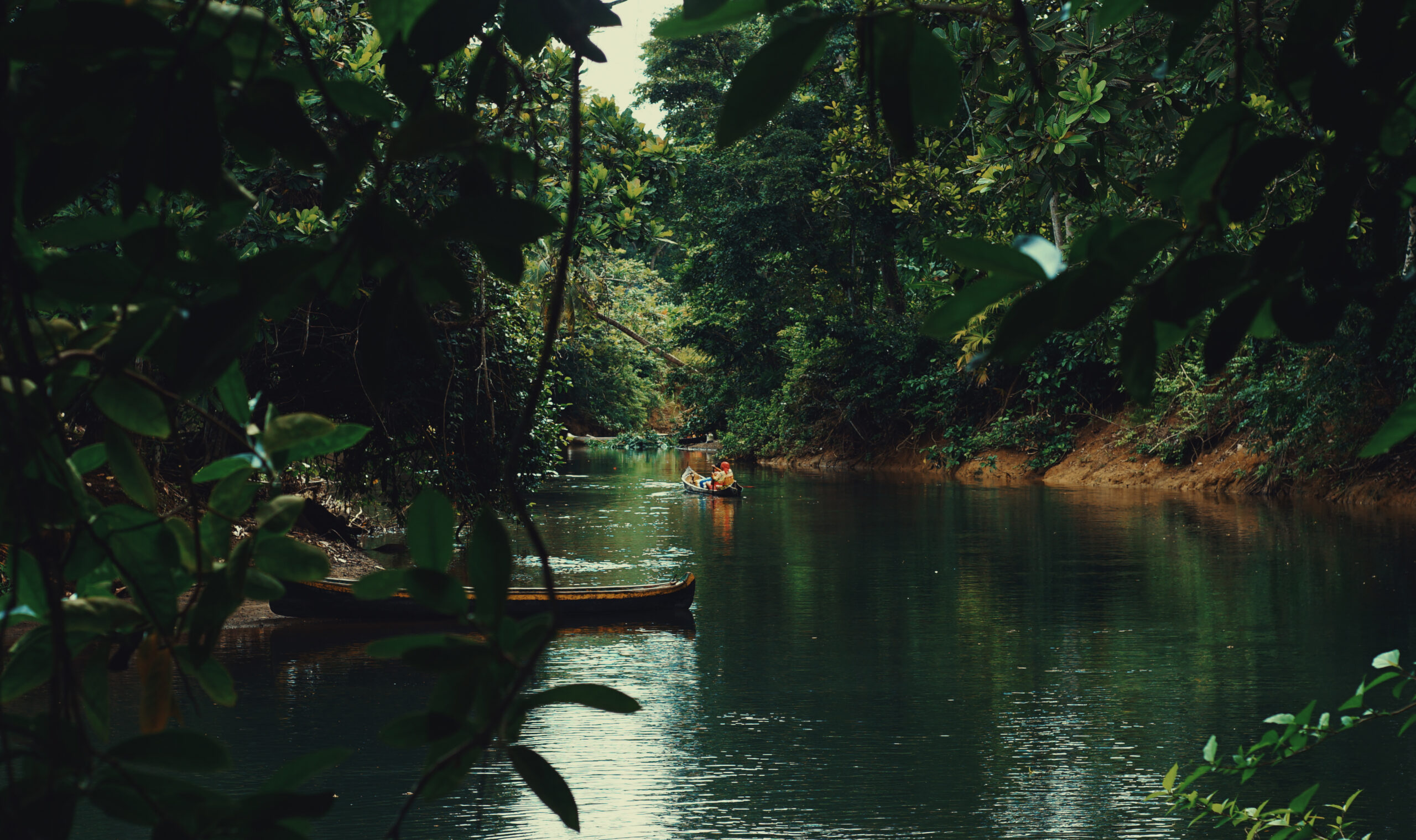 Mujer indígena del pueblo Guna de Panamá en el río realizando un ritual para conectarse con los espíritus de sus antepasados.
Ganadores del Concurso de Fotografía “Soluciones Innovadoras de Pueblos Indígenas”
Nombre de la foto: Oloubingun Tigwar. Autor: Aylin Alba